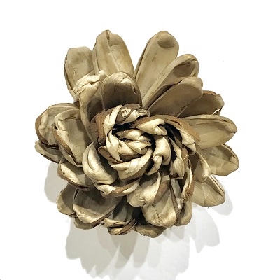 Chrysenthemum 4in Magnet Natural Skin Magnet 
